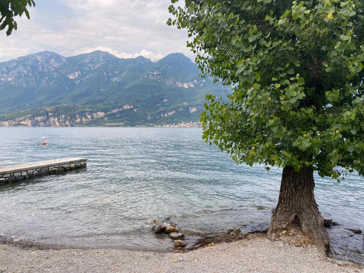 Al Cottage Oliveto Lario エクステリア 写真